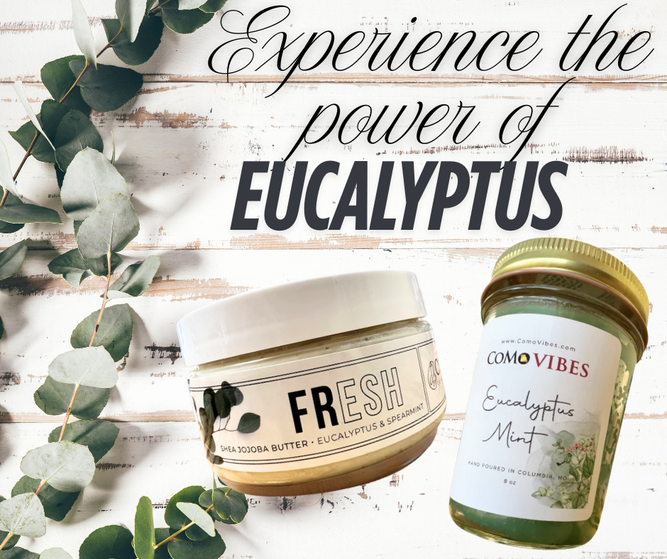 The Refreshing Power of Eucalyptus: Why You Should Incorporate It Into Your Routine